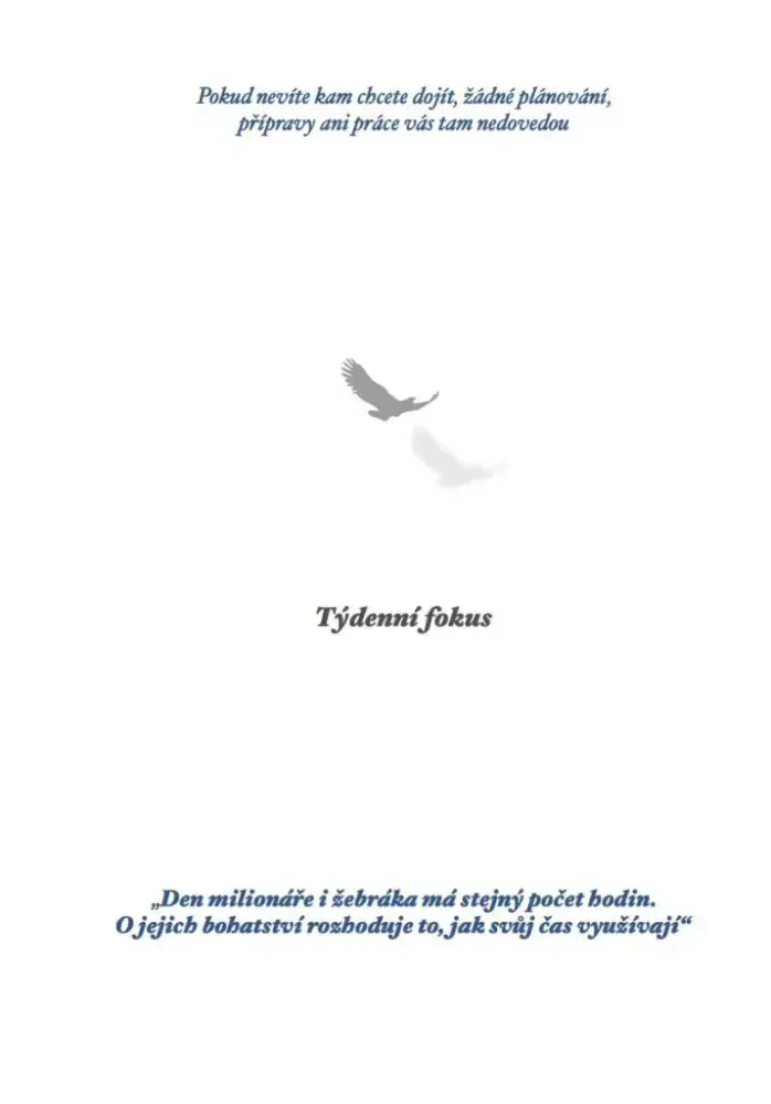 Značkový plánovací diář FOKUS® – vínová